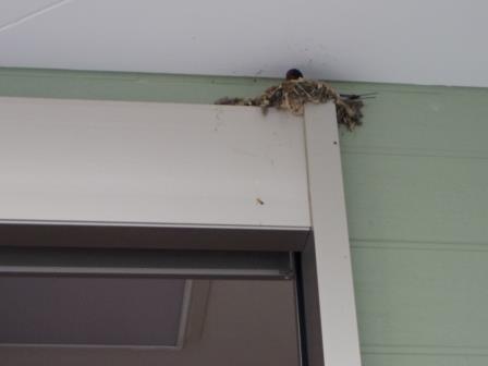 �C���[�W02